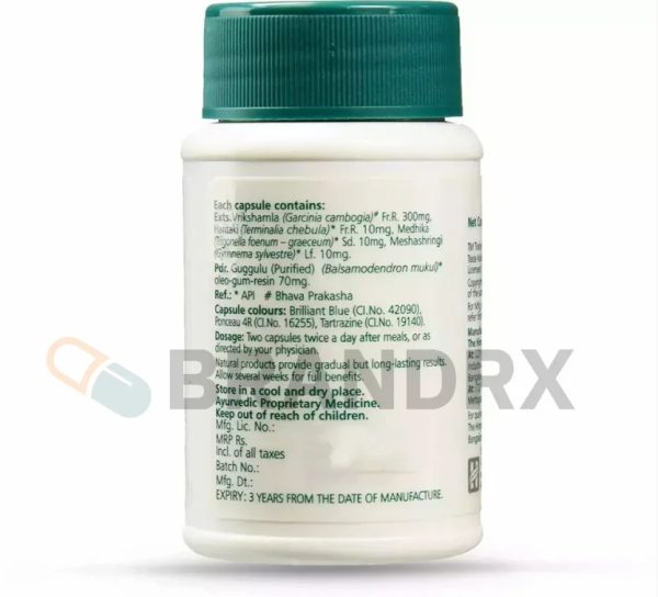AyurSlim 400 mg Himalaya – Image 2
